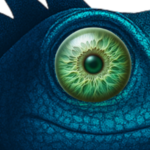 Vision 360 - oeil de Holi